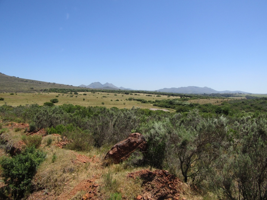 0 Bedroom Property for Sale in Humansdorp Rural Eastern Cape